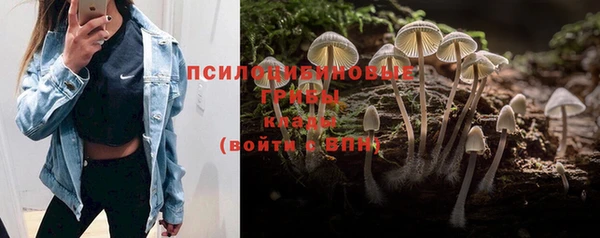 соль ск Алексеевка