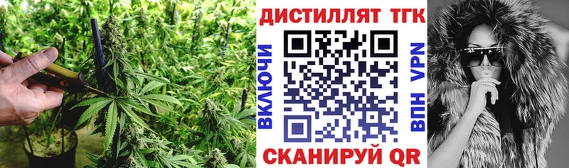 где можно купить наркотик Йошкар-Ола Дистиллят ТГК THC oil