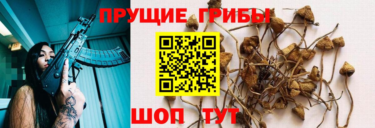 Псилоцибиновые грибы MAGIC MUSHROOMS Йошкар-Ола